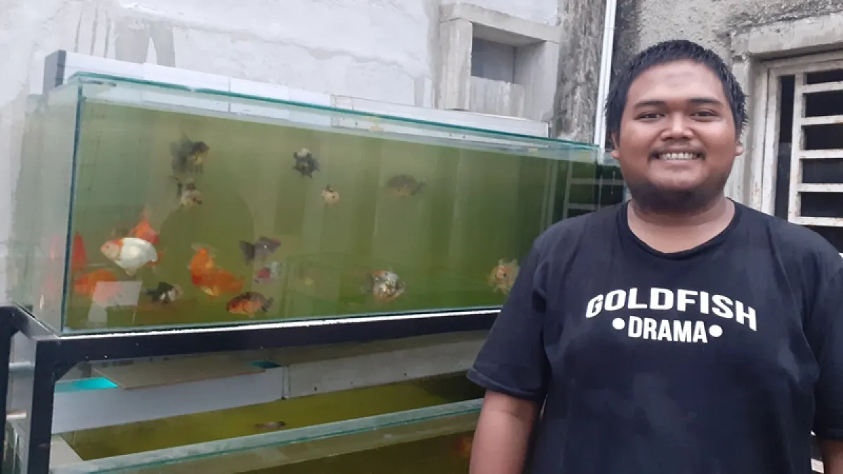 62+ Koki Hoki Aquarium HD Terbaik